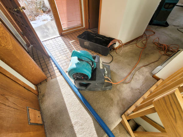 Best Flood damage cleanup  in Oronogo, MO