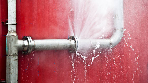 Best Professional water damage repair  in Oronogo, MO
