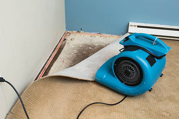 Best Water damage cleanup near me  in Oronogo, MO